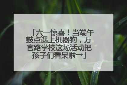 六一惊喜！当端午鼓点遇上机器狗，万官路学校这场活动把孩子们看呆啦→