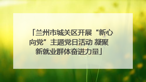 兰州市城关区开展“新心向党”主题党日活动 凝聚新就业群体奋进力量