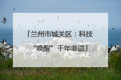 兰州市城关区：科技“唤醒”千年非遗