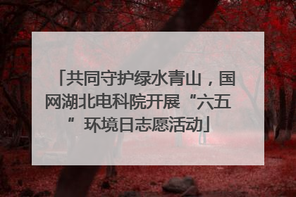 共同守护绿水青山，国网湖北电科院开展“六五”环境日志愿活动