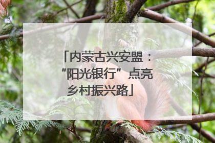 内蒙古兴安盟：“阳光银行”点亮乡村振兴路