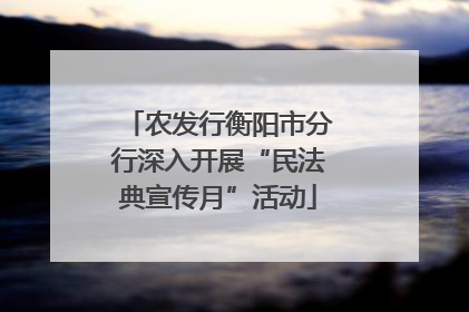 农发行衡阳市分行深入开展“民法典宣传月”活动