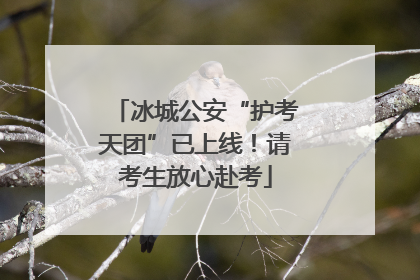 冰城公安“护考天团”已上线！请考生放心赴考