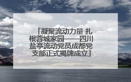 凝聚流动力量 扎根蓉城家园——四川盐亭流动党员成都党支部正式揭牌成立