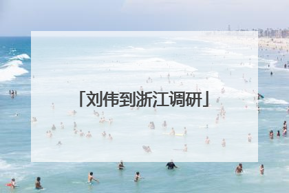刘伟到浙江调研