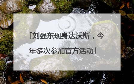 刘强东现身达沃斯，今年多次参加官方活动