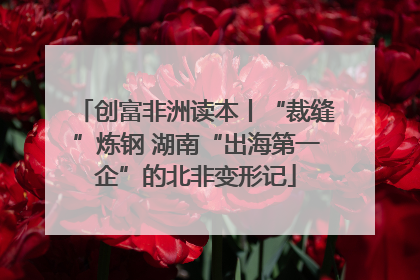 创富非洲读本丨“裁缝”炼钢 湖南“出海第一企”的北非变形记