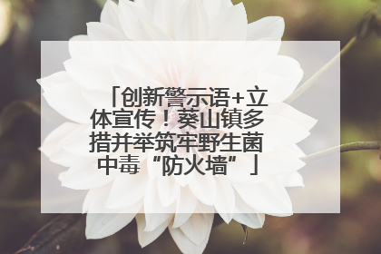 创新警示语+立体宣传！葵山镇多措并举筑牢野生菌中毒“防火墙”