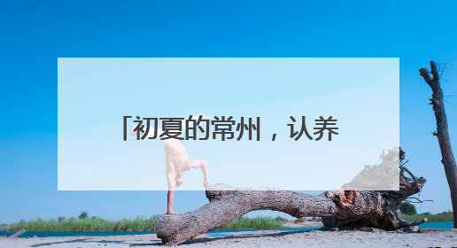 初夏的常州，认养一头牛为福利院的孩子们送去1000份特别的礼物
