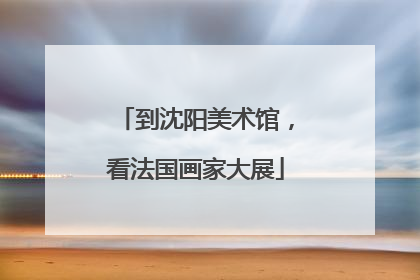 到沈阳美术馆，看法国画家大展