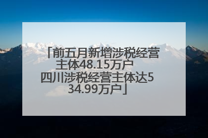 前五月新增涉税经营主体48.15万户 四川涉税经营主体达534.99万户