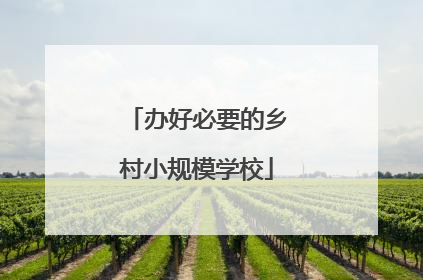 办好必要的乡村小规模学校