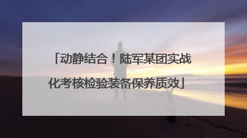 动静结合！陆军某团实战化考核检验装备保养质效