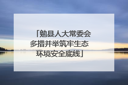 勉县人大常委会多措并举筑牢生态环境安全底线