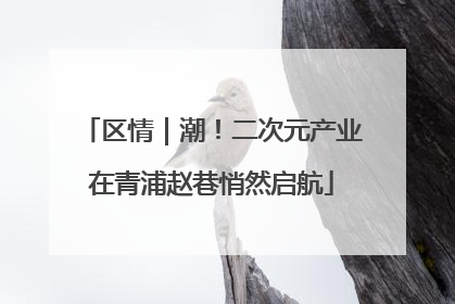 区情｜潮！二次元产业在青浦赵巷悄然启航