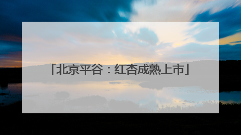 北京平谷：红杏成熟上市