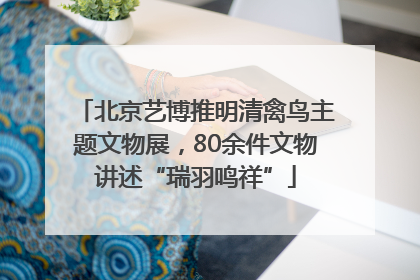 北京艺博推明清禽鸟主题文物展，80余件文物讲述“瑞羽鸣祥”