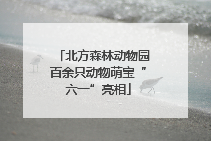 北方森林动物园百余只动物萌宝“六一”亮相