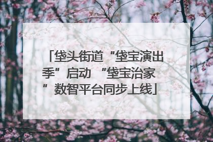 垡头街道“垡宝演出季”启动 “垡宝治家”数智平台同步上线