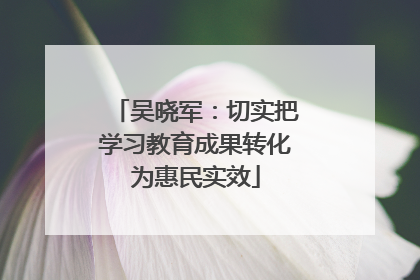 吴晓军：切实把学习教育成果转化为惠民实效