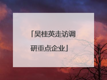 吴桂英走访调研重点企业