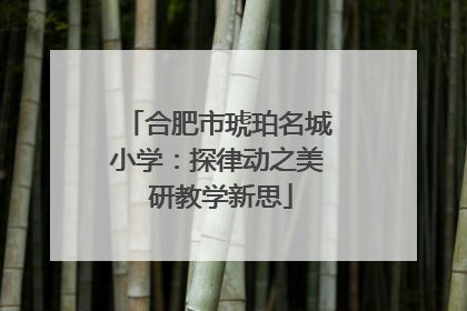 合肥市琥珀名城小学：探律动之美 研教学新思