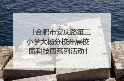 合肥市安庆路第三小学大杨分校开展校园科技周系列活动