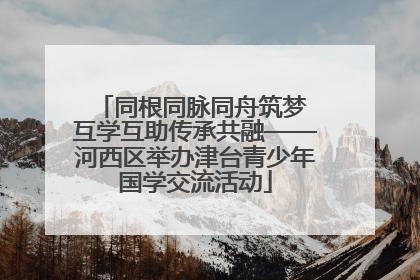同根同脉同舟筑梦 互学互助传承共融——河西区举办津台青少年国学交流活动