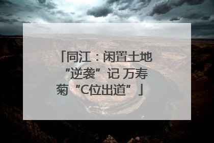 同江：闲置土地“逆袭”记 万寿菊“C位出道”