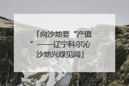 向沙地要“产值”——辽宁科尔沁沙地兴绿见闻