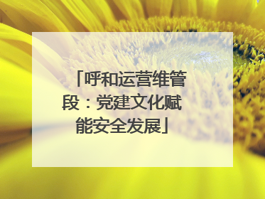呼和运营维管段：党建文化赋能安全发展