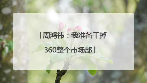 周鸿祎：我准备干掉360整个市场部