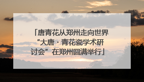 唐青花从郑州走向世界 “大唐・青花瓷学术研讨会”在郑州圆满举行