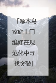 啄木鸟家庭上门维修在规范化中寻找突破