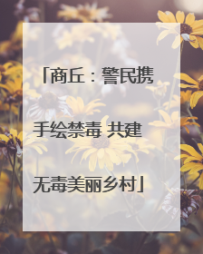 商丘：警民携手绘禁毒 共建无毒美丽乡村
