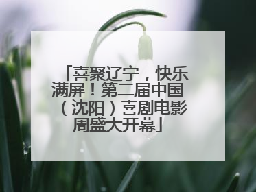 喜聚辽宁，快乐满屏！第二届中国（沈阳）喜剧电影周盛大开幕