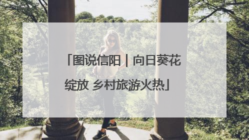图说信阳｜向日葵花绽放 乡村旅游火热