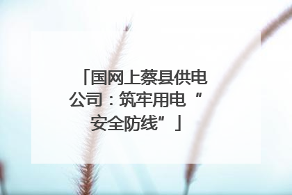 国网上蔡县供电公司：筑牢用电“安全防线”