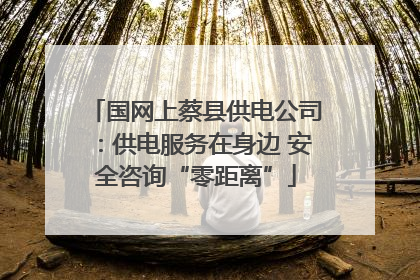 国网上蔡县供电公司：供电服务在身边 安全咨询“零距离”