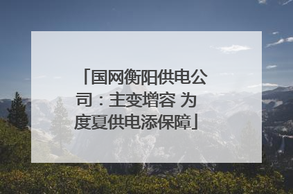 国网衡阳供电公司：主变增容 为度夏供电添保障