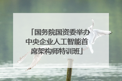 国务院国资委举办中央企业人工智能首席架构师特训班