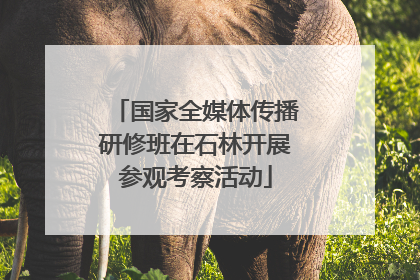 国家全媒体传播研修班在石林开展参观考察活动