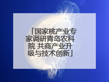 国家桃产业专家调研青岛农科院 共商产业升级与技术创新