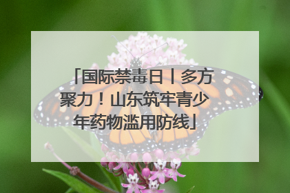 国际禁毒日丨多方聚力！山东筑牢青少年药物滥用防线