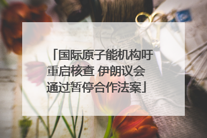 国际原子能机构吁重启核查 伊朗议会通过暂停合作法案