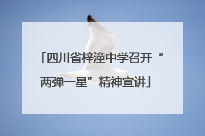 四川省梓潼中学召开“两弹一星”精神宣讲