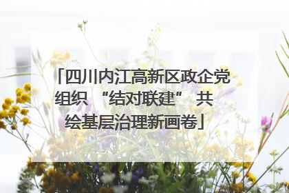 四川内江高新区政企党组织 “结对联建” 共绘基层治理新画卷