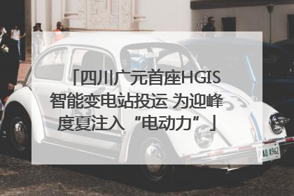 四川广元首座HGIS智能变电站投运 为迎峰度夏注入“电动力”