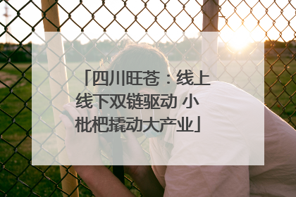 四川旺苍：线上线下双链驱动 小枇杷撬动大产业