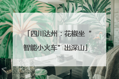 四川达州：花椒坐“智能小火车”出深山